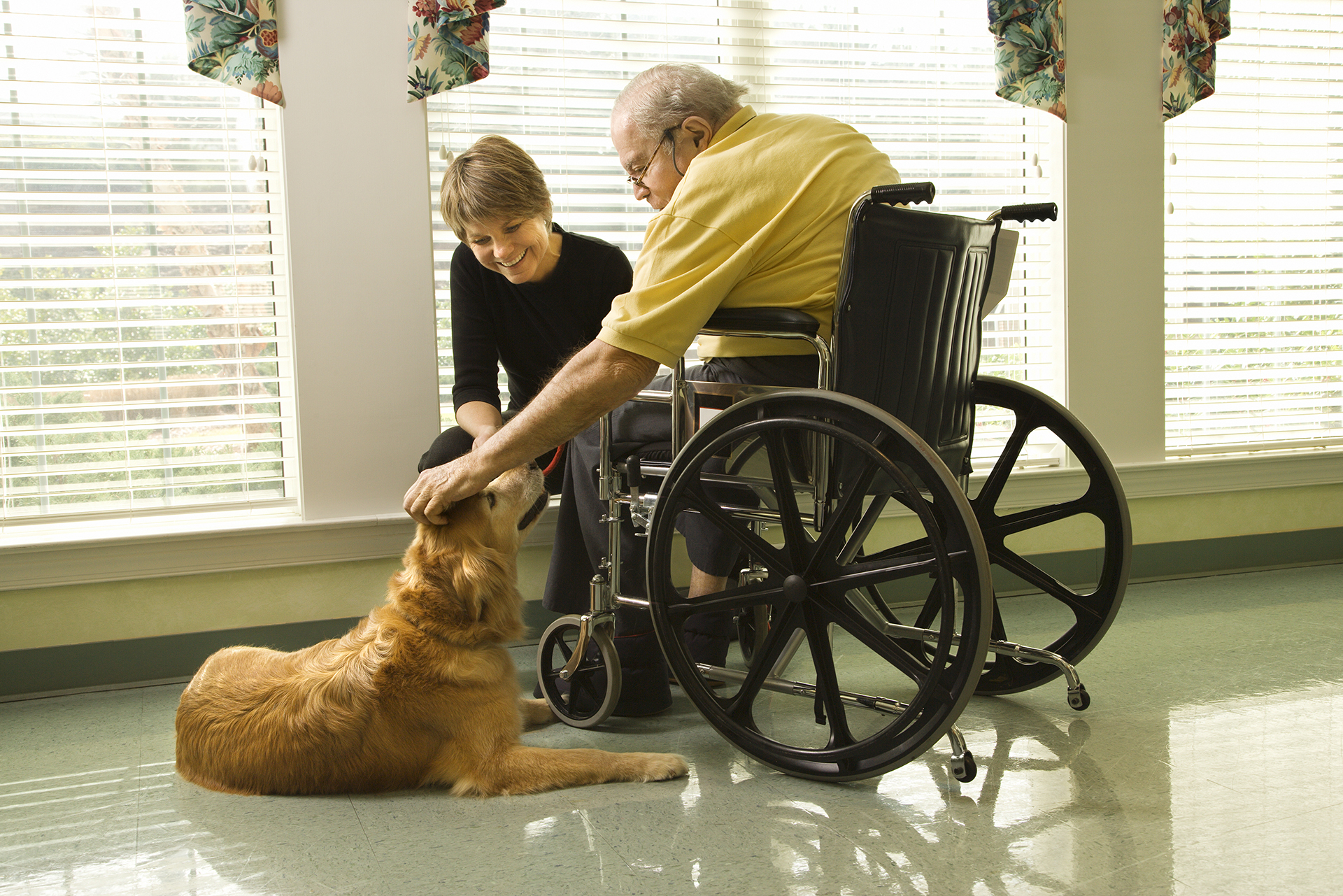 Eldercare Issues Left